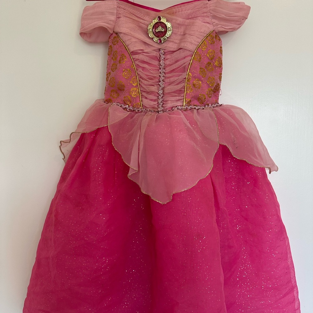 Disney Sleeping Beauty Princess Costume